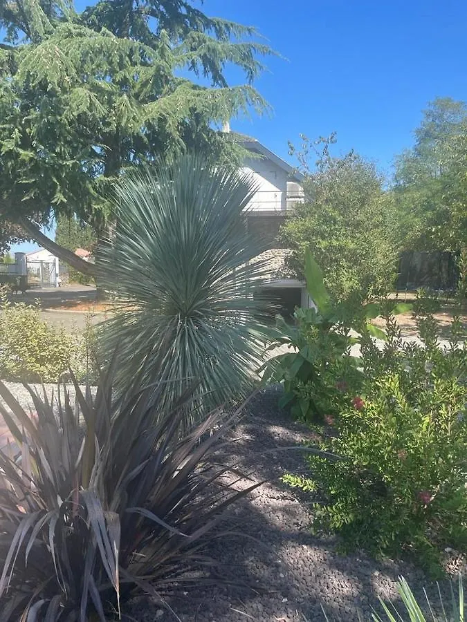 Cedrus Libani Villa Martres-Tolosane Nyaraló