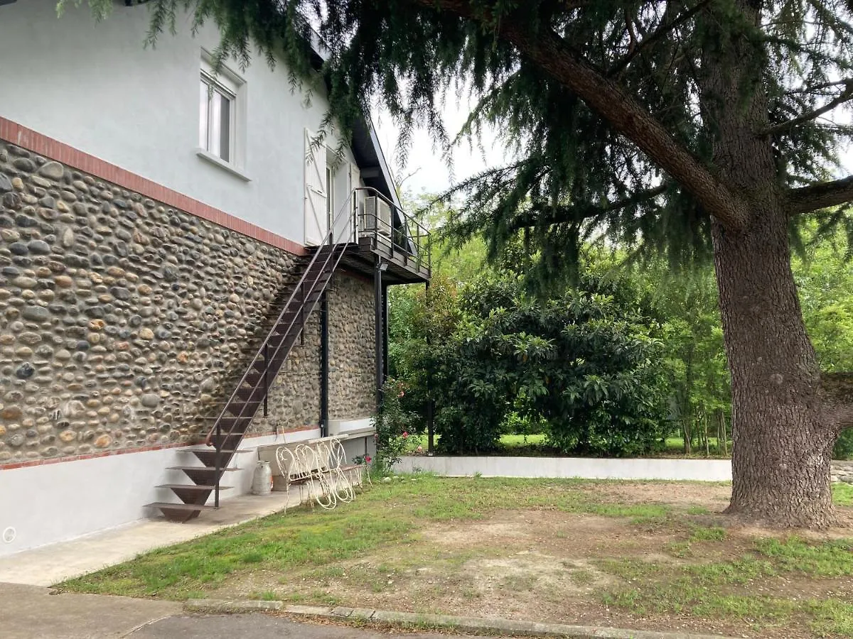 Cedrus Libani Villa Martres-Tolosane Franciaország